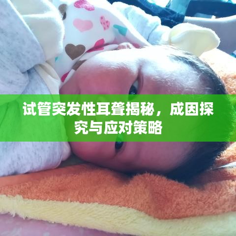 試管突發(fā)性耳聾揭秘，成因探究與應對策略