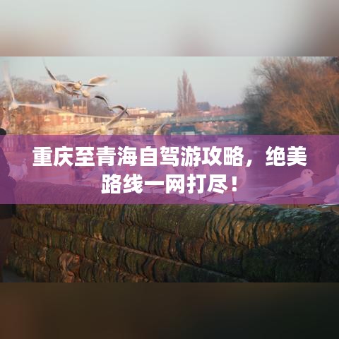 重慶至青海自駕游攻略，絕美路線一網(wǎng)打盡！