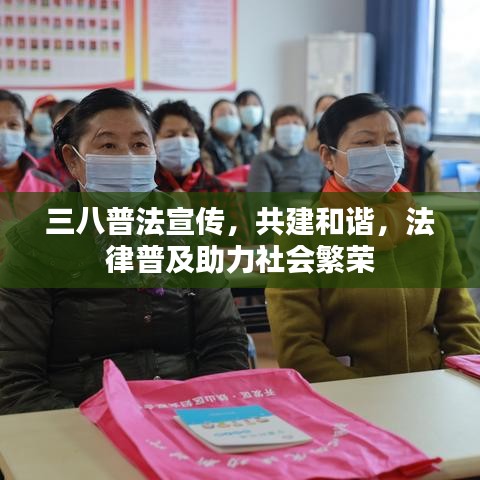 三八普法宣傳，共建和諧，法律普及助力社會繁榮
