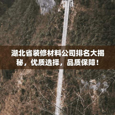 湖北省裝修材料公司排名大揭秘，優(yōu)質(zhì)選擇，品質(zhì)保障！
