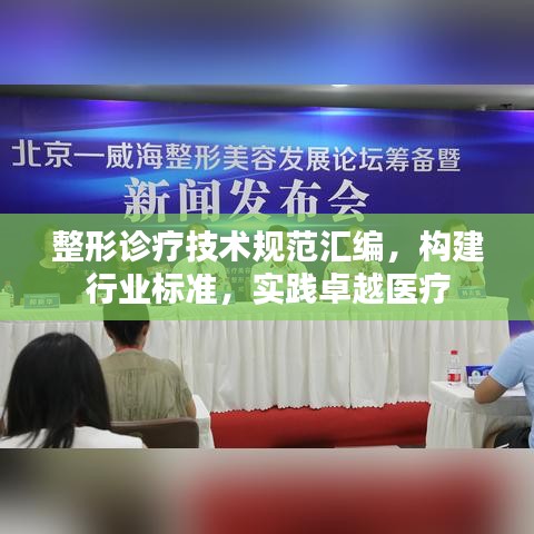 整形診療技術(shù)規(guī)范匯編，構(gòu)建行業(yè)標(biāo)準(zhǔn)，實(shí)踐卓越醫(yī)療