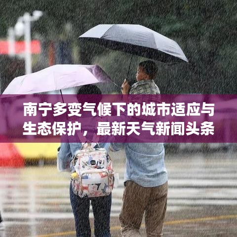 南寧多變氣候下的城市適應與生態(tài)保護，最新天氣新聞頭條解析
