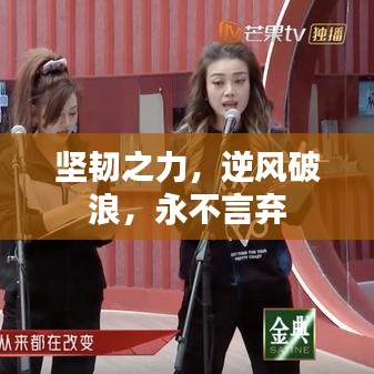 堅韌之力，逆風(fēng)破浪，永不言棄