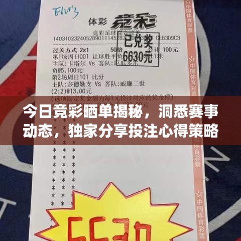 今日競彩曬單揭秘，洞悉賽事動態(tài)，獨家分享投注心得策略