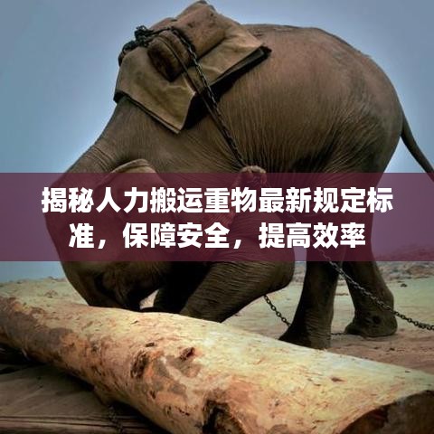 揭秘人力搬運重物最新規(guī)定標準，保障安全，提高效率