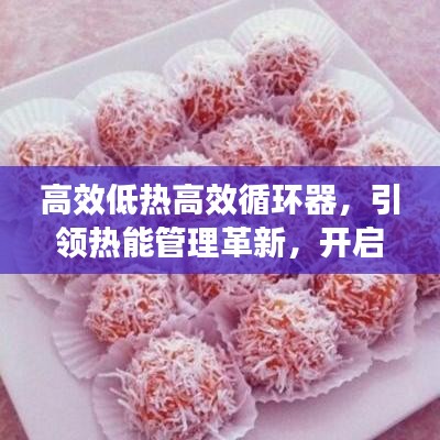 高效低熱高效循環(huán)器，引領(lǐng)熱能管理革新，開啟新時(shí)代篇章