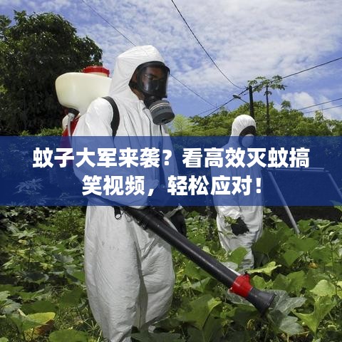 風(fēng)華絕代 第2頁