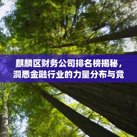麒麟?yún)^(qū)財務(wù)公司排名榜揭秘，洞悉金融行業(yè)的力量分布與競爭格局