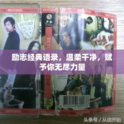 勵志經(jīng)典語錄，溫柔干凈，賦予你無盡力量