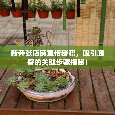 新開(kāi)張店鋪宣傳秘籍，吸引顧客的關(guān)鍵步驟揭秘！