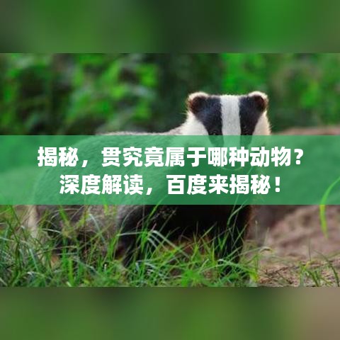 滔滔不絕 第2頁