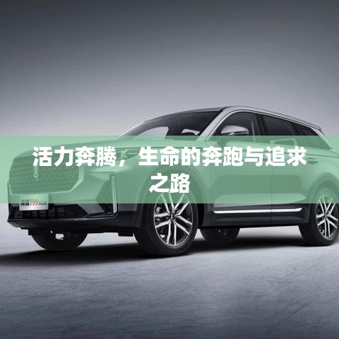 活力奔騰，生命的奔跑與追求之路
