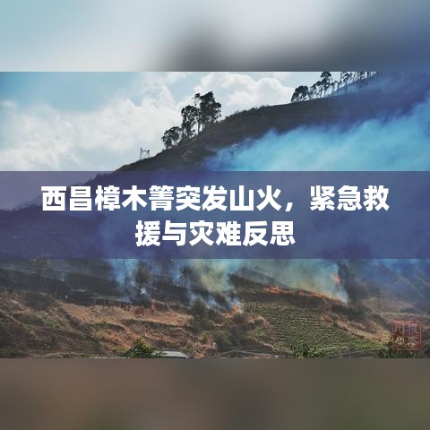 西昌樟木箐突發(fā)山火，緊急救援與災(zāi)難反思