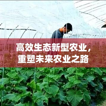 高效生態(tài)新型農業(yè)，重塑未來農業(yè)之路