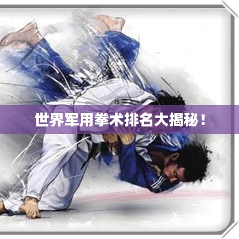 世界軍用拳術(shù)排名大揭秘！