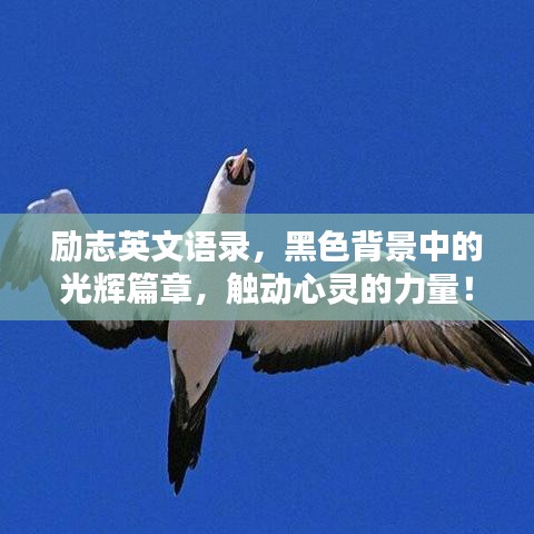 勵(lì)志英文語(yǔ)錄，黑色背景中的光輝篇章，觸動(dòng)心靈的力量！
