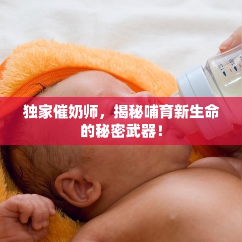 獨家催奶師，揭秘哺育新生命的秘密武器！