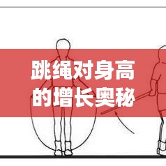 跳繩對身高的增長奧秘，科學運動助力身高飛躍發(fā)展！