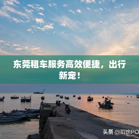 東莞租車服務(wù)高效便捷，出行新寵！