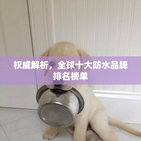將錯就錯 第2頁