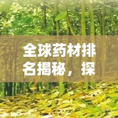 不知就里 第2頁(yè)