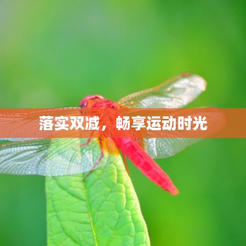 落實(shí)雙減，暢享運(yùn)動(dòng)時(shí)光
