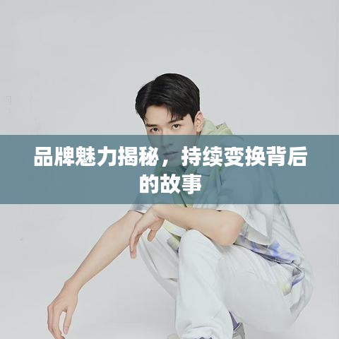 品牌魅力揭秘，持續(xù)變換背后的故事
