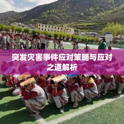 突發(fā)災(zāi)害事件應(yīng)對策略與應(yīng)對之道解析