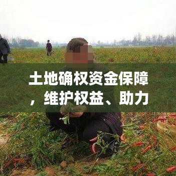 土地確權(quán)資金保障，維護權(quán)益、助力農(nóng)村發(fā)展的關(guān)鍵舉措