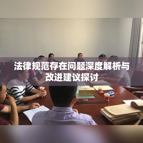 法律規(guī)范存在問(wèn)題深度解析與改進(jìn)建議探討