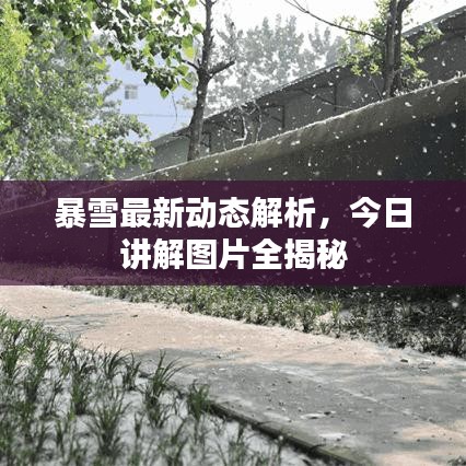 暴雪最新動態(tài)解析，今日講解圖片全揭秘