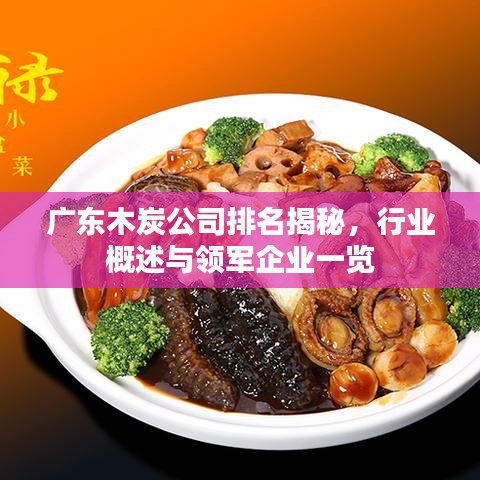 廣東木炭公司排名揭秘，行業(yè)概述與領(lǐng)軍企業(yè)一覽