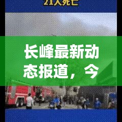 長峰最新動態(tài)報道，今日消息一覽
