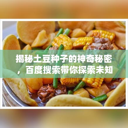 揭秘土豆種子的神奇秘密，百度搜索帶你探索未知世界