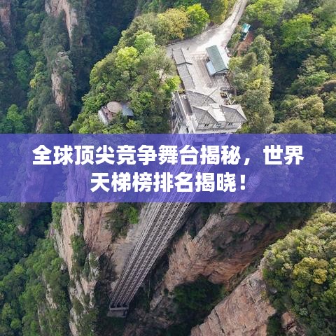 全球頂尖競爭舞臺揭秘，世界天梯榜排名揭曉！