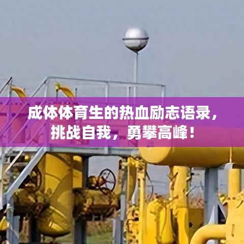成體體育生的熱血?jiǎng)?lì)志語(yǔ)錄，挑戰(zhàn)自我，勇攀高峰！