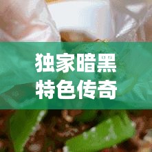 獨家暗黑特色傳奇，神秘傳奇之旅