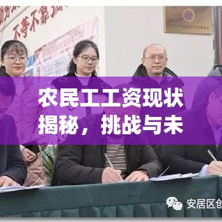 農(nóng)民工工資現(xiàn)狀揭秘，挑戰(zhàn)與未來(lái)展望，百度權(quán)威解讀！