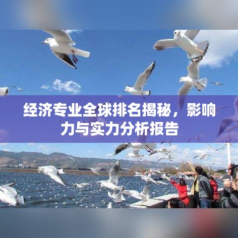 經(jīng)濟(jì)專業(yè)全球排名揭秘，影響力與實(shí)力分析報(bào)告