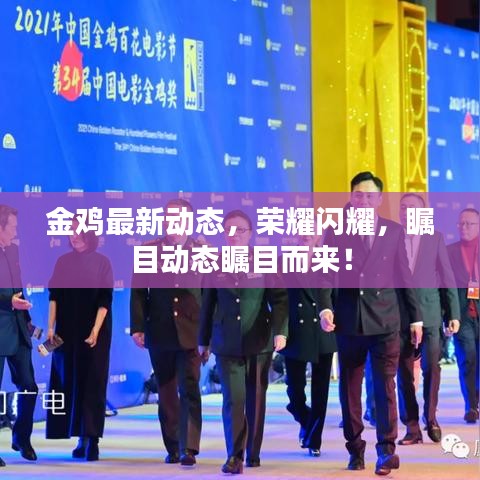 金雞最新動態(tài)，榮耀閃耀，矚目動態(tài)矚目而來！