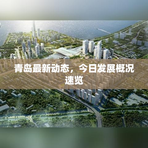 青島最新動態(tài)，今日發(fā)展概況速覽