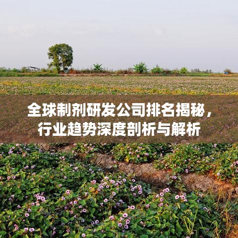 全球制劑研發(fā)公司排名揭秘，行業(yè)趨勢(shì)深度剖析與解析