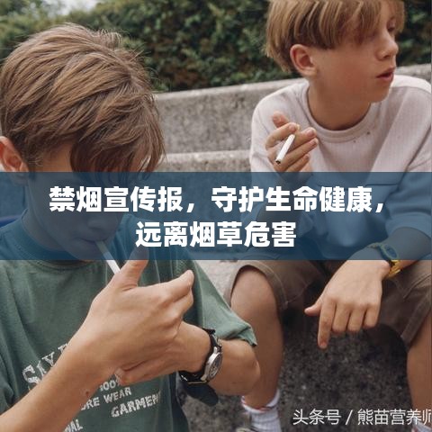 禁煙宣傳報，守護生命健康，遠離煙草危害