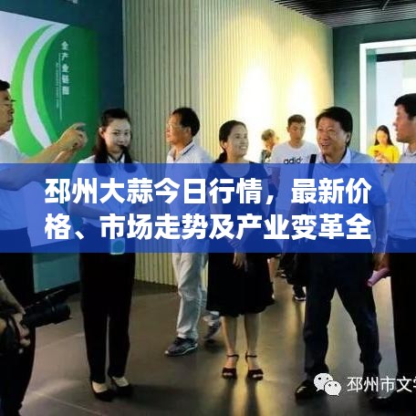 邳州大蒜今日行情，最新價格、市場走勢及產(chǎn)業(yè)變革全解析