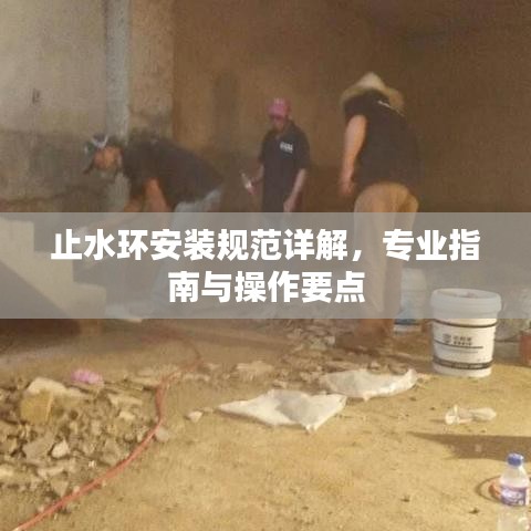 止水環(huán)安裝規(guī)范詳解，專業(yè)指南與操作要點