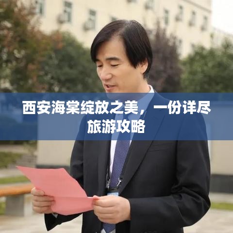 西安海棠綻放之美，一份詳盡旅游攻略