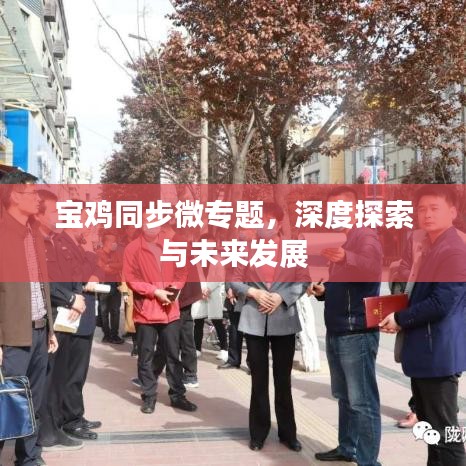寶雞同步微專題，深度探索與未來發(fā)展