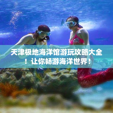 天津極地海洋館游玩攻略大全！讓你暢游海洋世界！