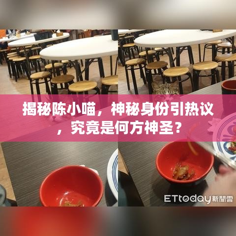 揭秘陳小喵，神秘身份引熱議，究竟是何方神圣？