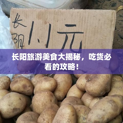 長陽旅游美食大揭秘，吃貨必看的攻略！
